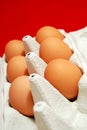 Free range eggs Royalty Free Stock Photo