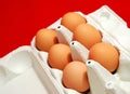 Free range eggs Royalty Free Stock Photo