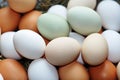 Free-range eggs Royalty Free Stock Photo