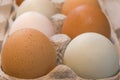 Free Range Eggs Royalty Free Stock Photo