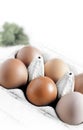 Free Range Eggs Royalty Free Stock Photo