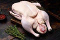 Free Range Farm Whole Duck with herbs, on old dark wooden table background