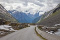 Free range sheep on a mountain road in Norway, Scandinavia animal road hazard conceptselective focus Royalty Free Stock Photo