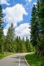 Free Road among Beautiful Forest in the National Park Durmitor, Montenegro Royalty Free Stock Photo