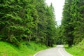 Free Road among Beautiful Forest in the National Park Durmitor, Montenegro Royalty Free Stock Photo