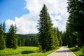 Free Road among Beautiful Forest in the National Park Durmitor, Montenegro Royalty Free Stock Photo