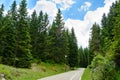 Free Road among Beautiful Forest in the National Park Durmitor, Montenegro Royalty Free Stock Photo