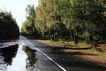 Deserted road in the forest after the rain Royalty Free Stock Photo