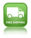 Free shipping special soft green square button Royalty Free Stock Photo