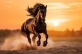 Free-spirited black stallion galloping through a gorgeous sunset landscape Royalty Free Stock Photo