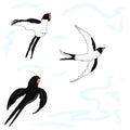Free swallows in the sky illustration. Idea for decors, wedding, spring holidays, nature themes. Ready-made artwork.