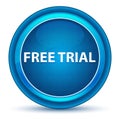 Free Trial Eyeball Blue Round Button Royalty Free Stock Photo