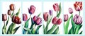 Free vector background with tulips. Hand drawn illustration, Happy mother& x27;s day. Spring holiday design template with Royalty Free Stock Photo