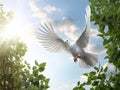 A free white dove holding green leaf branch flying in the sky. International Day of Peace concept background. Created Royalty Free Stock Photo