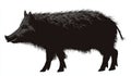 Free Wildschwein silhouette / modern Royalty Free Stock Photo
