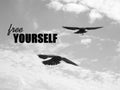 Free yourself. Inspirational quote about happy. Royalty Free Stock Photo