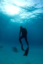 Freediver Ascent with Sharks