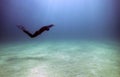 Freediver in the Black Sea.