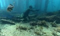 Freediver with Banded Morwong at the Old Rapid Bay Jetty dive site Royalty Free Stock Photo