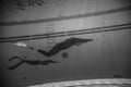 Freediver Dynamic with Monofin Performance from Underwater