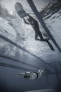 Freediver Dynamic with Monofin Performance from Underwater