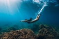 Freediver girl with white fins glides underwater with amazing sun rays and seaweed. Free diving underwater in blue sea Royalty Free Stock Photo