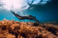 Freediver girl with white fins glides underwater with amazing sun rays and seaweed. Free diving underwater in blue sea Royalty Free Stock Photo