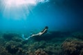 Freediver girl with white fins glides underwater with amazing sun rays and seaweed. Free diving underwater in blue sea Royalty Free Stock Photo