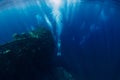 Freediver man dive underwater at shipwreck in Bali. Royalty Free Stock Photo