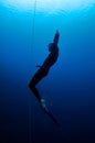 Freediver moves out of the depth