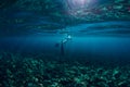 Freediver swim in ocean, underwater photo with sunlight and depth