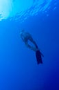 Freediver