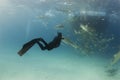 Freediver Wide with Boat and Lemons