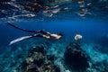 Freediver woman glides underwater ocean with fins and turtle Royalty Free Stock Photo