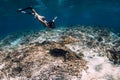 Freediver woman glides underwater with turtle in ocean. Snorkeling with sea turtle Royalty Free Stock Photo