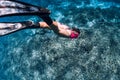 Freediver woman glides underwater with turtle in sea. Snorkeling with green sea turtle Royalty Free Stock Photo