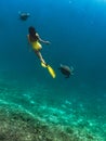 Freediver woman with hawksbill turtle, underwater photography. Royalty Free Stock Photo