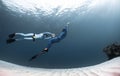 Freedivers in the sea