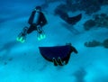 Freedivers swim under the wondering scuba diver Royalty Free Stock Photo