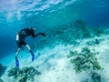 Freedivers swimming near coral reef in Red Sea