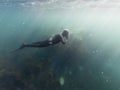 Man in wetsuit freediving underwater whilst snorkeling Royalty Free Stock Photo