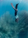 A school of Sardines in the blue ocean water of the Philippines.