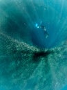 A school of Sardines in the blue ocean water of the Philippines.