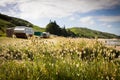 Freedom camping in caravans at an East Coast beach, Gisborne, North Island, New Zealand