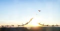 freedom concept, Bird flying and barbed wire at morning sunrise background Royalty Free Stock Photo