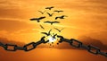 Freedom Concept : Birds Broken The Chain and Flying Away. Chains transform to free Bird At Sunset. yellow Orange Sky. Concept