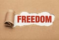 Freedom Royalty Free Stock Photo