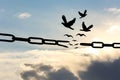 Freedom concept. Silhouettes of broken chain and birds flying in sky Royalty Free Stock Photo