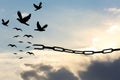 Freedom. Silhouettes of broken chain and birds flying in blue sky Royalty Free Stock Photo