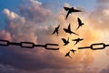 Freedom concept. Silhouettes of broken chain and birds flying in sky Royalty Free Stock Photo